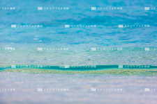 沖縄本島/大宜味のビーチ 218C8174
