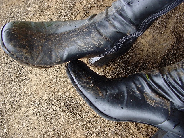 Wet &amp; Messy Shoes Image Collection 045